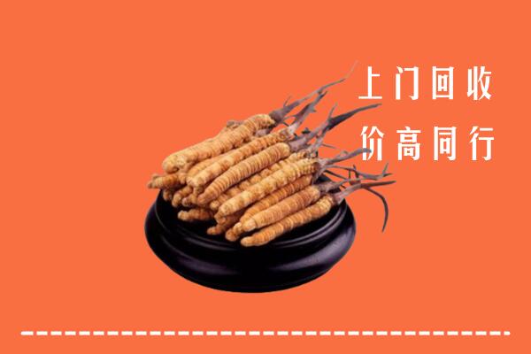 高价求购：北京石景山回收散虫草