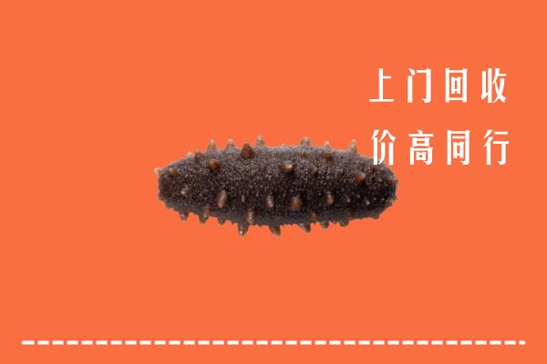 高价求购：北京石景山回收海参
