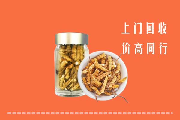 北京石景山高价回收冬虫夏草